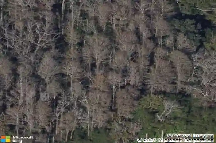 1188 lindenwood dr, tarpon springs,  FL 34688