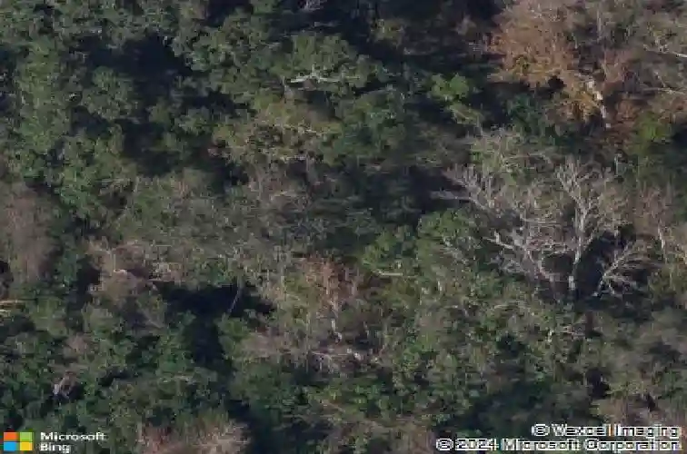 920 e lake dr, tarpon springs,  FL 34688