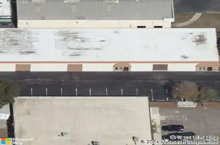  saint petersburg,  FL 33716