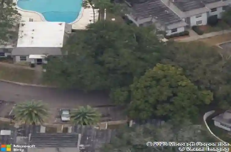 1307 n mcmullen booth rd, clearwater,  FL 33759