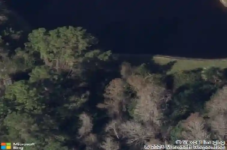 5160 loquat ct, palm harbor,  FL 34685