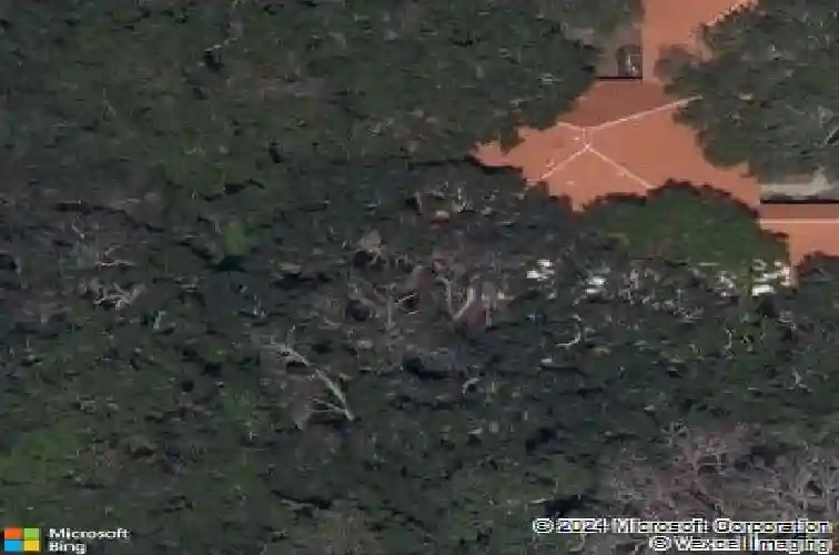 110 hammock pine blvd, clearwater,  FL 33761