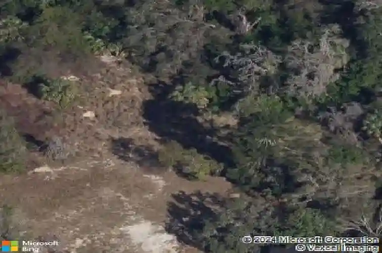 606 poulos ln, tarpon springs,  FL 34689