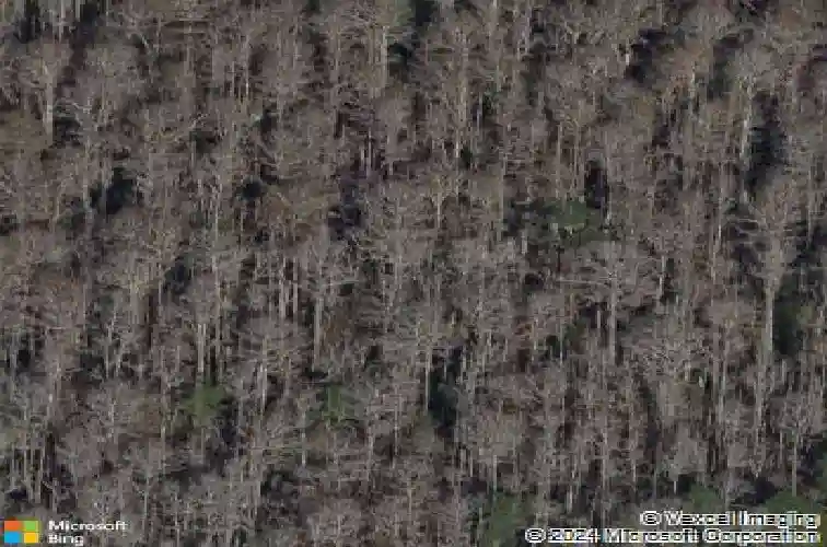 3238 glenridge dr, palm harbor,  FL 34685