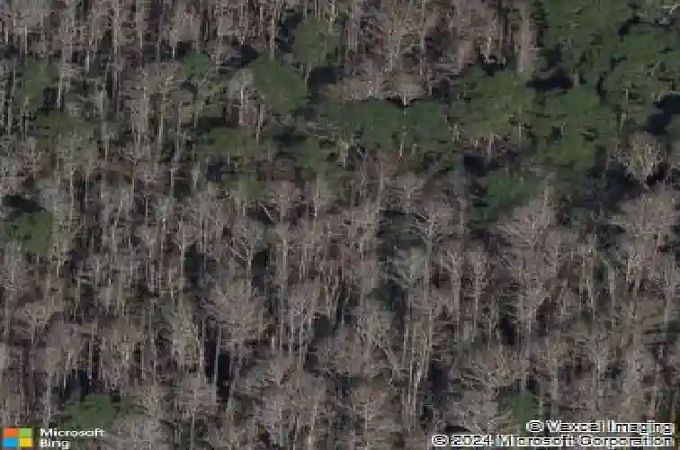 3214 glenridge dr, palm harbor,  FL 34685