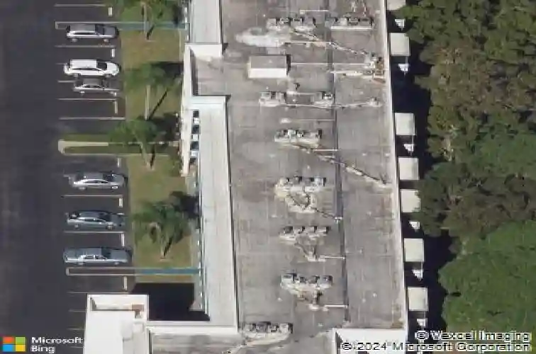  saint petersburg,  FL 33709