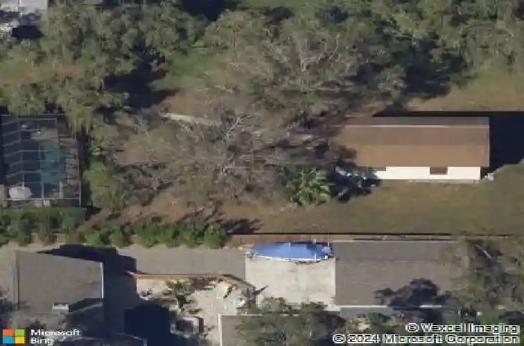 1975 levine ln, clearwater,  FL 33760