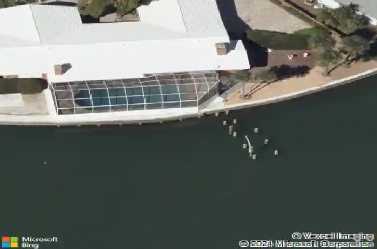 1503 sea gull dr s, saint petersburg,  FL 33707