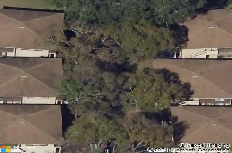 2941 lichen ln #b, clearwater,  FL 33760