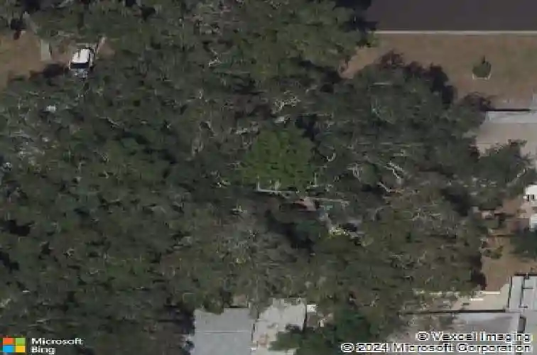  saint petersburg,  FL 33708