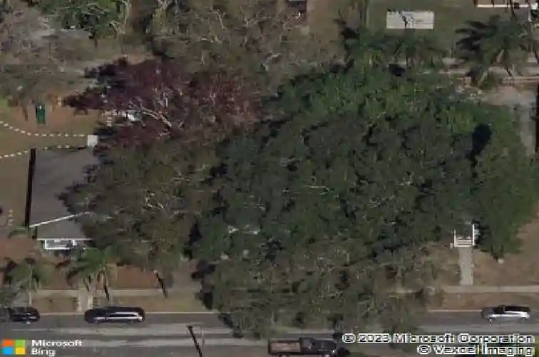 3235 8th ave n, saint petersburg,  FL 33713