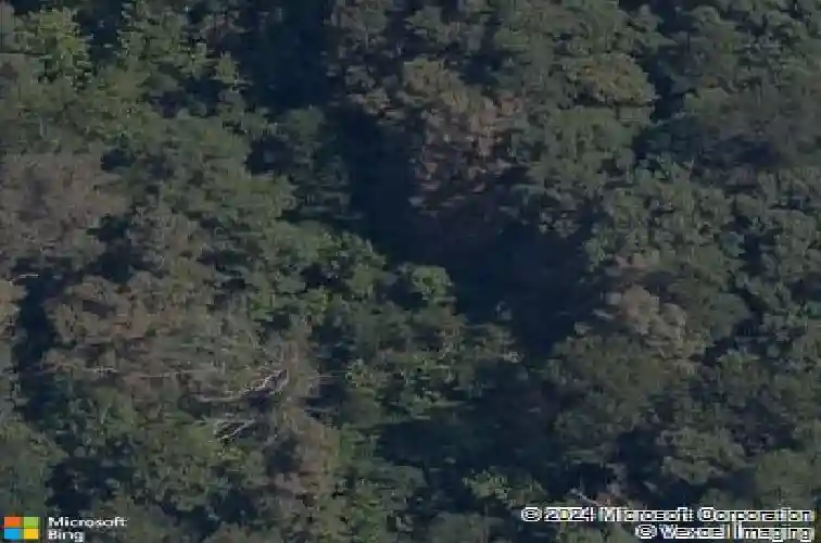 8985 pikes peak rd, rogers,  AR 72756