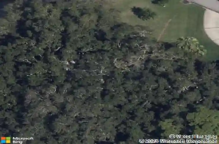 2295 watrous dr, dunedin,  FL 34698