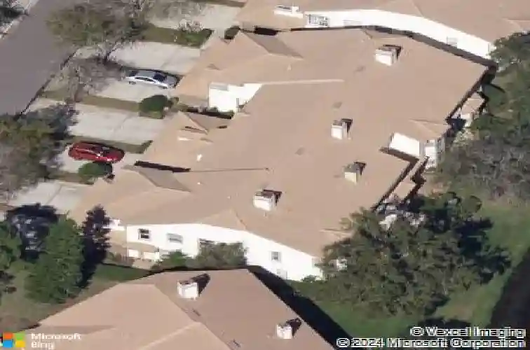 1207 clays trl, oldsmar,  FL 34677