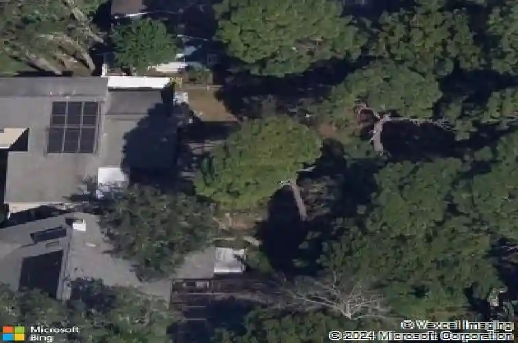 3047 enisglen dr, palm harbor,  FL 34683