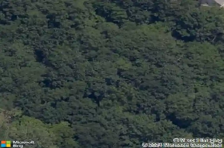 15871 serenity point ln, rogers,  AR 72756