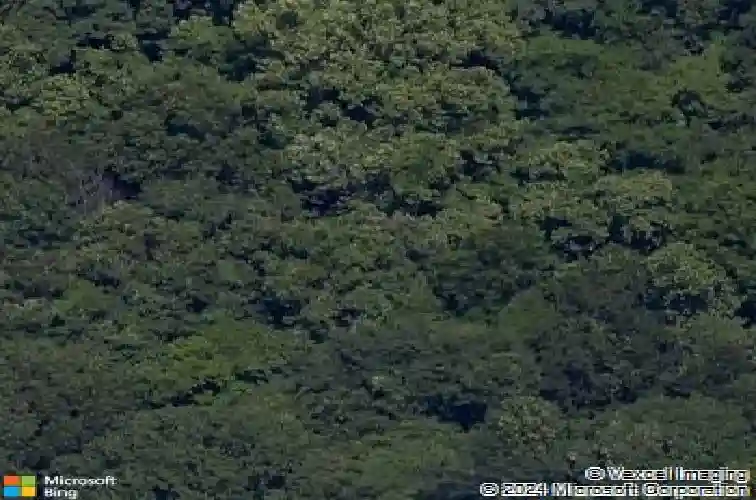 12238 cavewood rd, rogers,  AR 72756