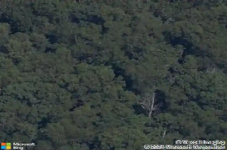 22110 e ar 12 hwy, rogers,  AR 72756