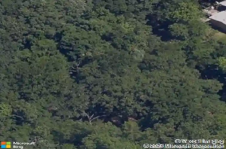 9824 pinion dr, rogers,  AR 72756