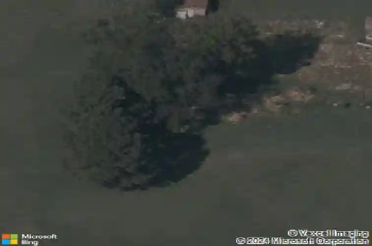 1209 w olive st, rogers,  AR 72756