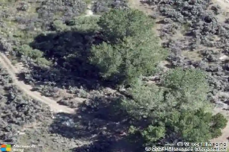 5155 us highway 50, carson city,  NV 89701