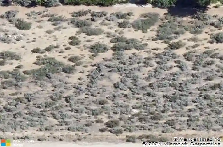 5460 lynnett ln, carson city,  NV 89701