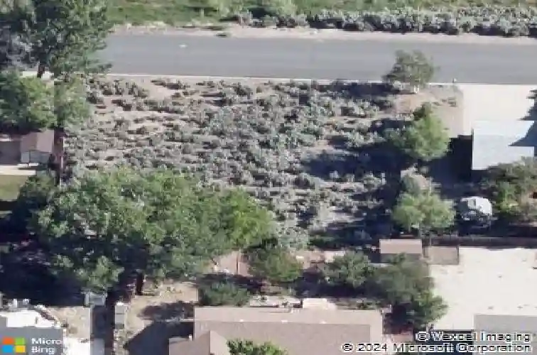 4445 hells bells rd, carson city,  NV 89701