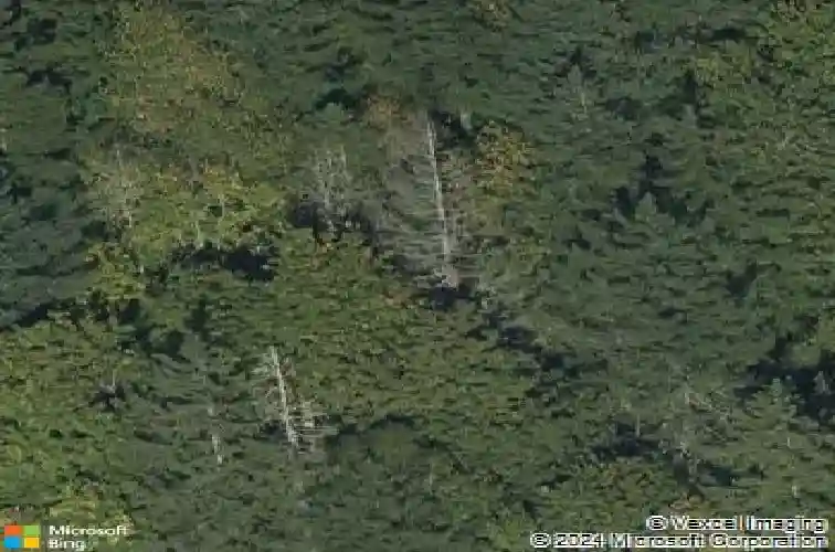 3809 se saint clair rd, washougal,  WA 98671