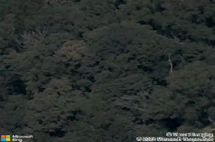 11639 oak hills dr, bentonville,  AR 72712