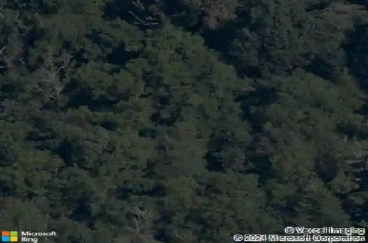 9420 cottonwood ln, bentonville,  AR 72712