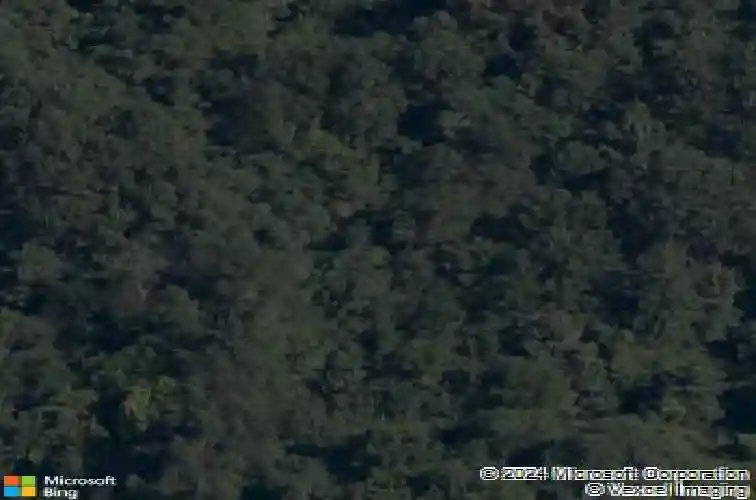 624 puppy creek rd, lowell,  AR 72745