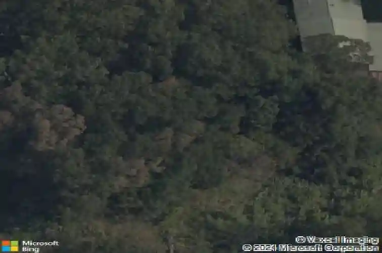 12503 slaughter pen rd, bentonville,  AR 72712