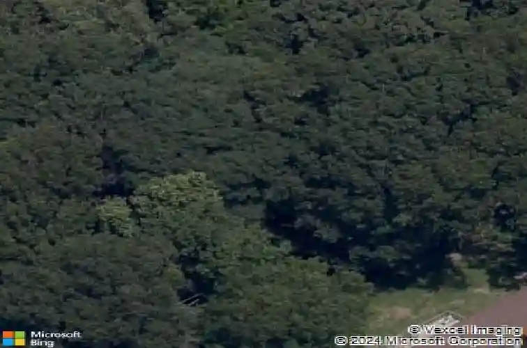 13907 elkhorn rd, garfield,  AR 72732