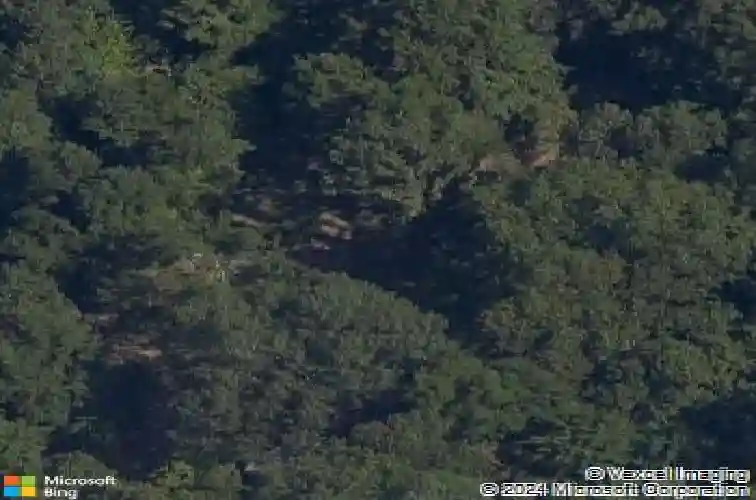 14350 palomino rd, rogers,  AR 72756