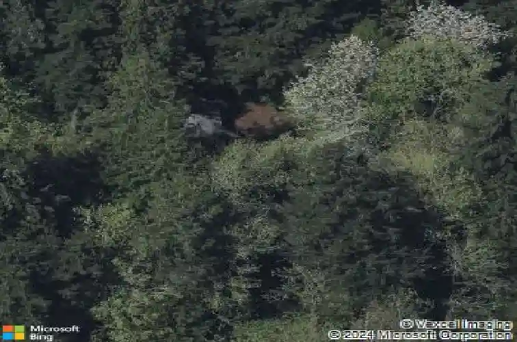 4075 sw dogwood ln, portland,  OR 97225