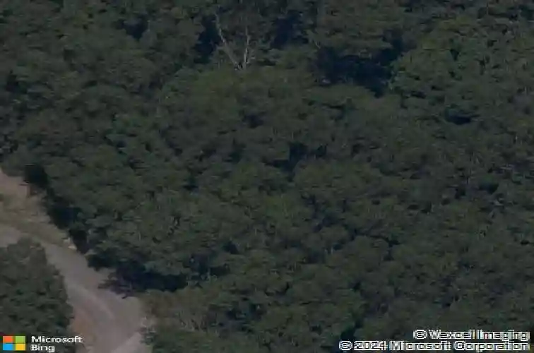 minack lane, bella vista,  AR 72714