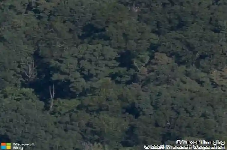 112 n pleasant ridge dr, rogers,  AR 72756