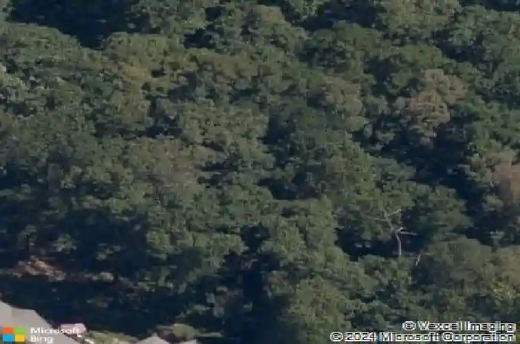 8252 hickory tree ln, rogers,  AR 72756