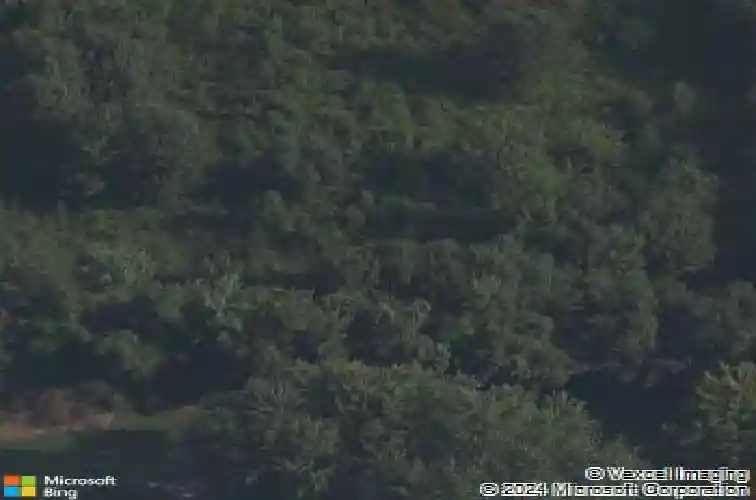 901 se walton blvd, bentonville,  AR 72712