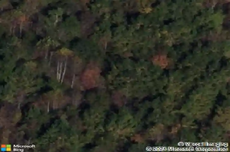  charlotte,  NC 28215