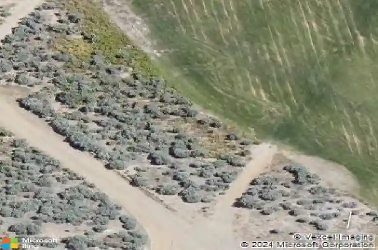 3398 cambria loop, carson city,  NV 89703