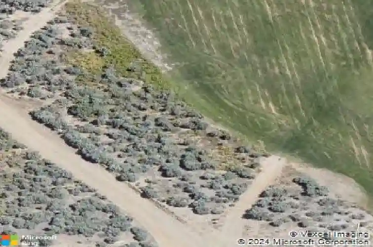 3506 cambria loop, carson city,  NV 89703