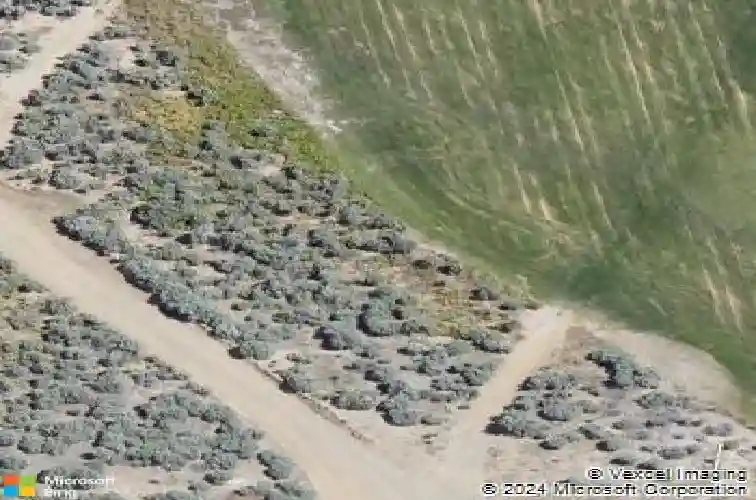 3470 cambria loop, carson city,  NV 89703