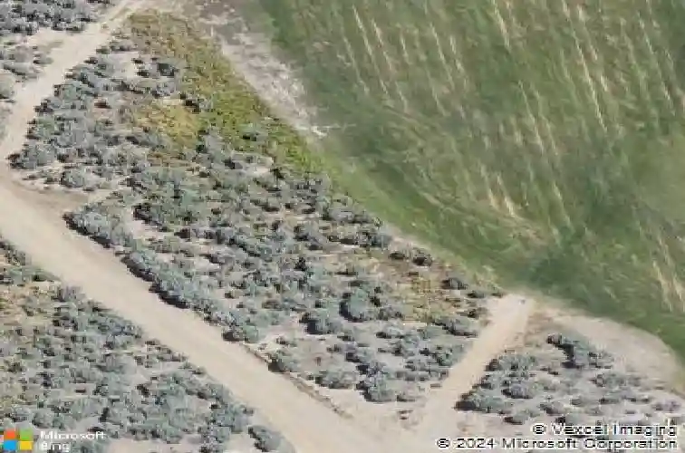 3542 cambria loop, carson city,  NV 89703