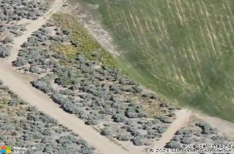 3650 cambria loop, carson city,  NV 89703