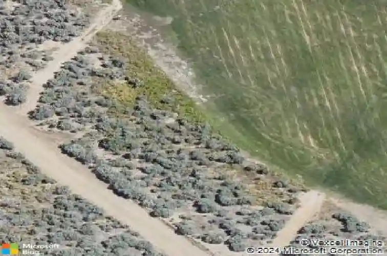 3722 cambria loop, carson city,  NV 89703