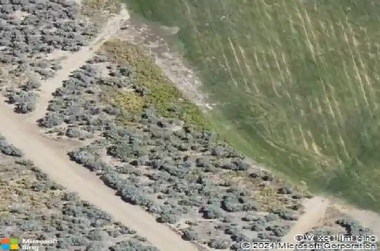 3794 cambria loop, carson city,  NV 89703