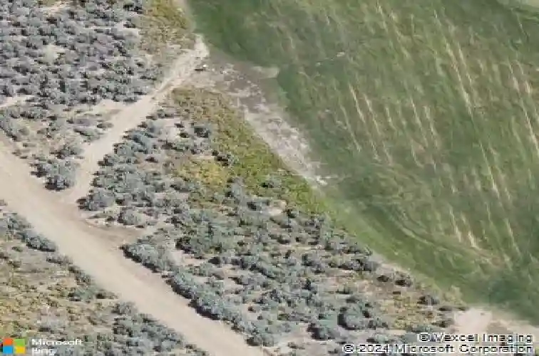 3938 cambria loop, carson city,  NV 89703