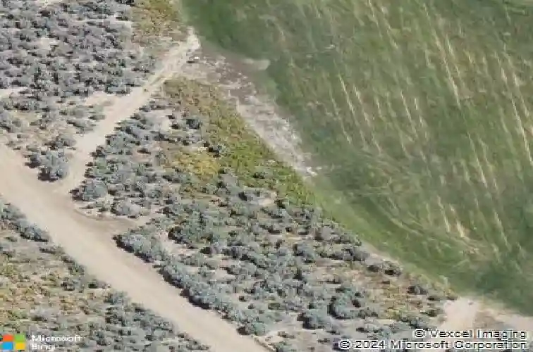 3902 cambria loop, carson city,  NV 89703