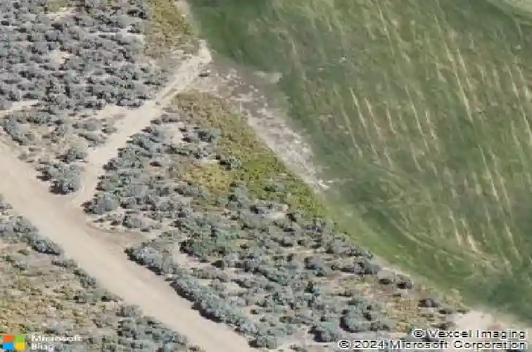 3974 cambria loop, carson city,  NV 89703